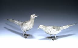 Pair of Spanish Silver Pheasants   1