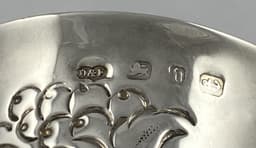 Sa196x21h