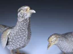 w251x5c W