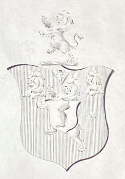 W85x39d