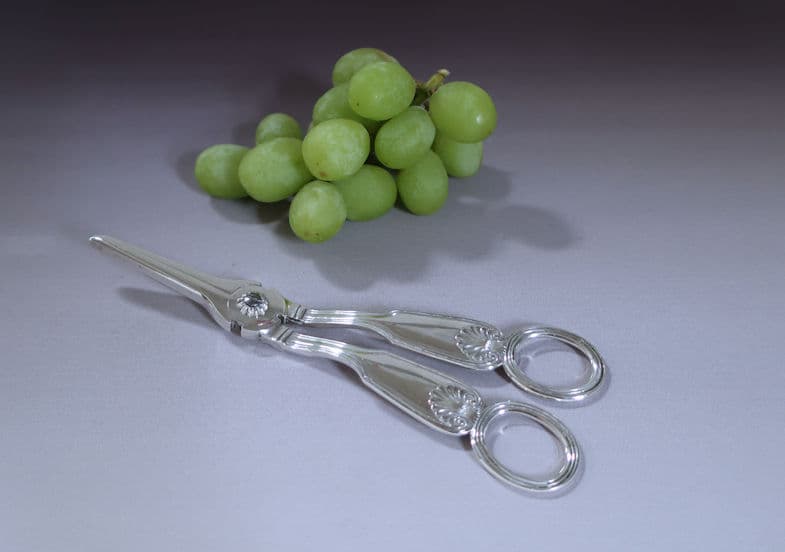 Ciseaux à raisin (1) - Argent 800 - Italie - 1960 - Catawiki Ciseaux à raisin (1) - Argent 800 - Italie - 1960 - Catawiki