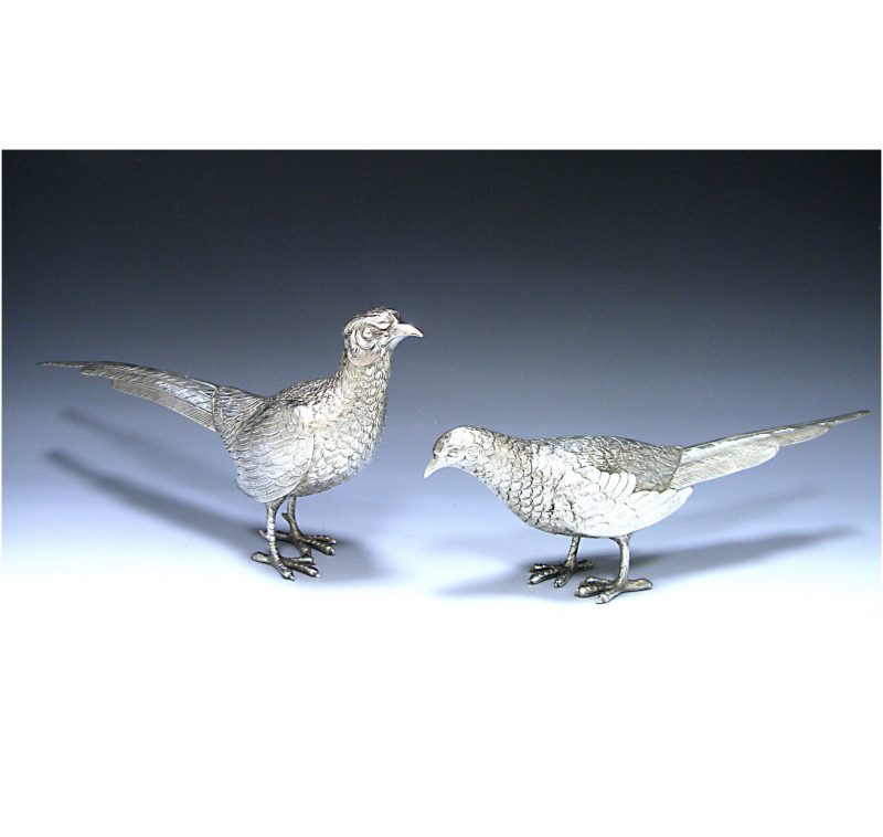 Pair of Spanish Silver Pheasants