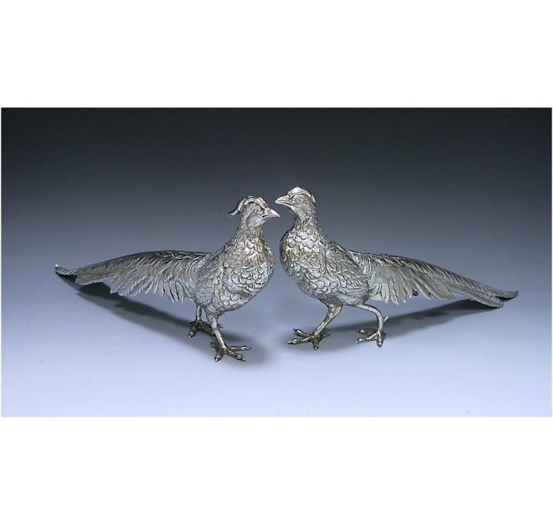 Pair of Spanish Silver Pheasants