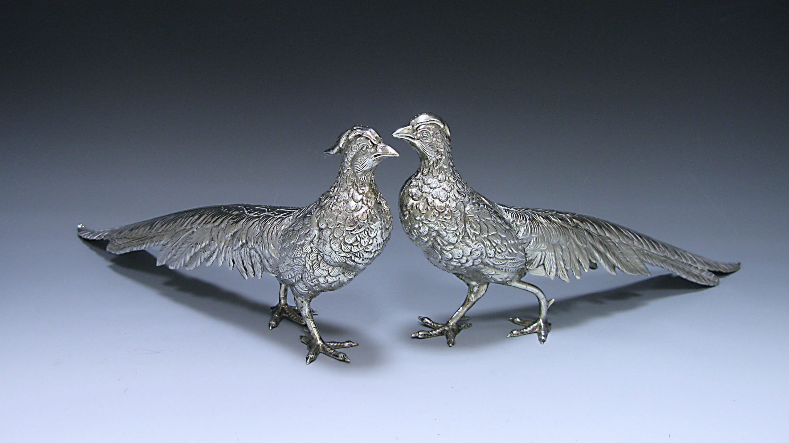 Pair of Spanish Silver Pheasants 1